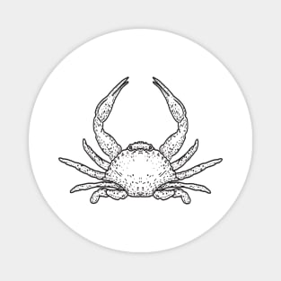 Crab drawing Magnet